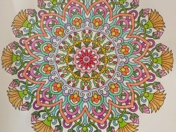 whatsapp bild 2023-08-11 um 18.50.30